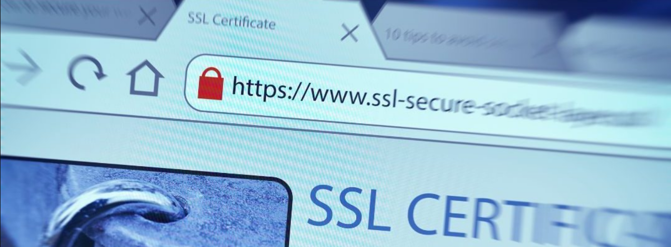 Screenshot 2025-10-09 113214